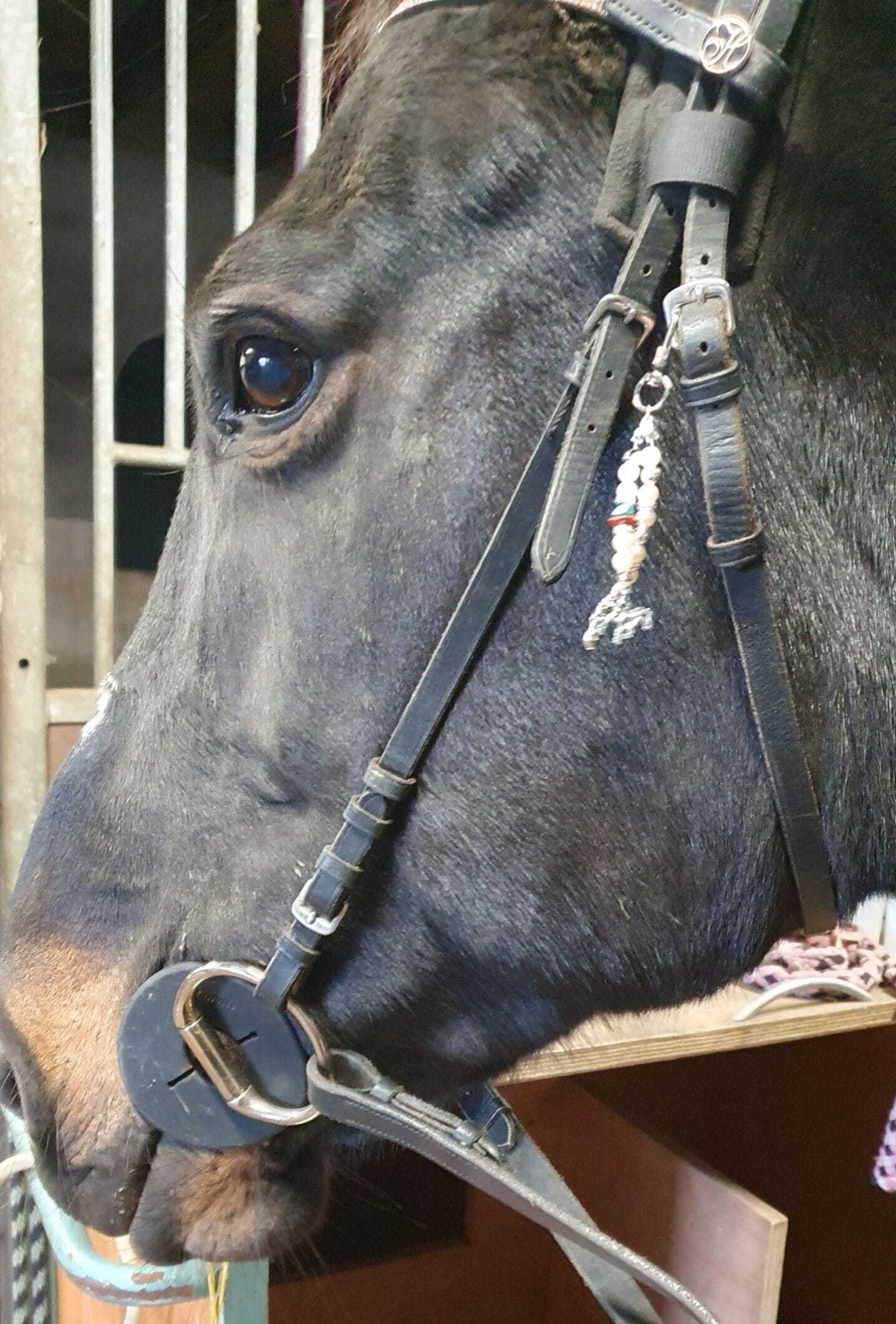 Hoofdstelsieraad paard/Zilverkleurig, licht roze/paard - Afbeelding 4