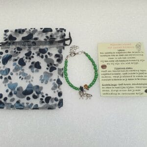 Armband groen/zilverkleurige Leeuw