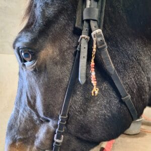 Hoofdstelsieraad geluk hoefijzer/Goudkleurig, bruin, oranjetinten