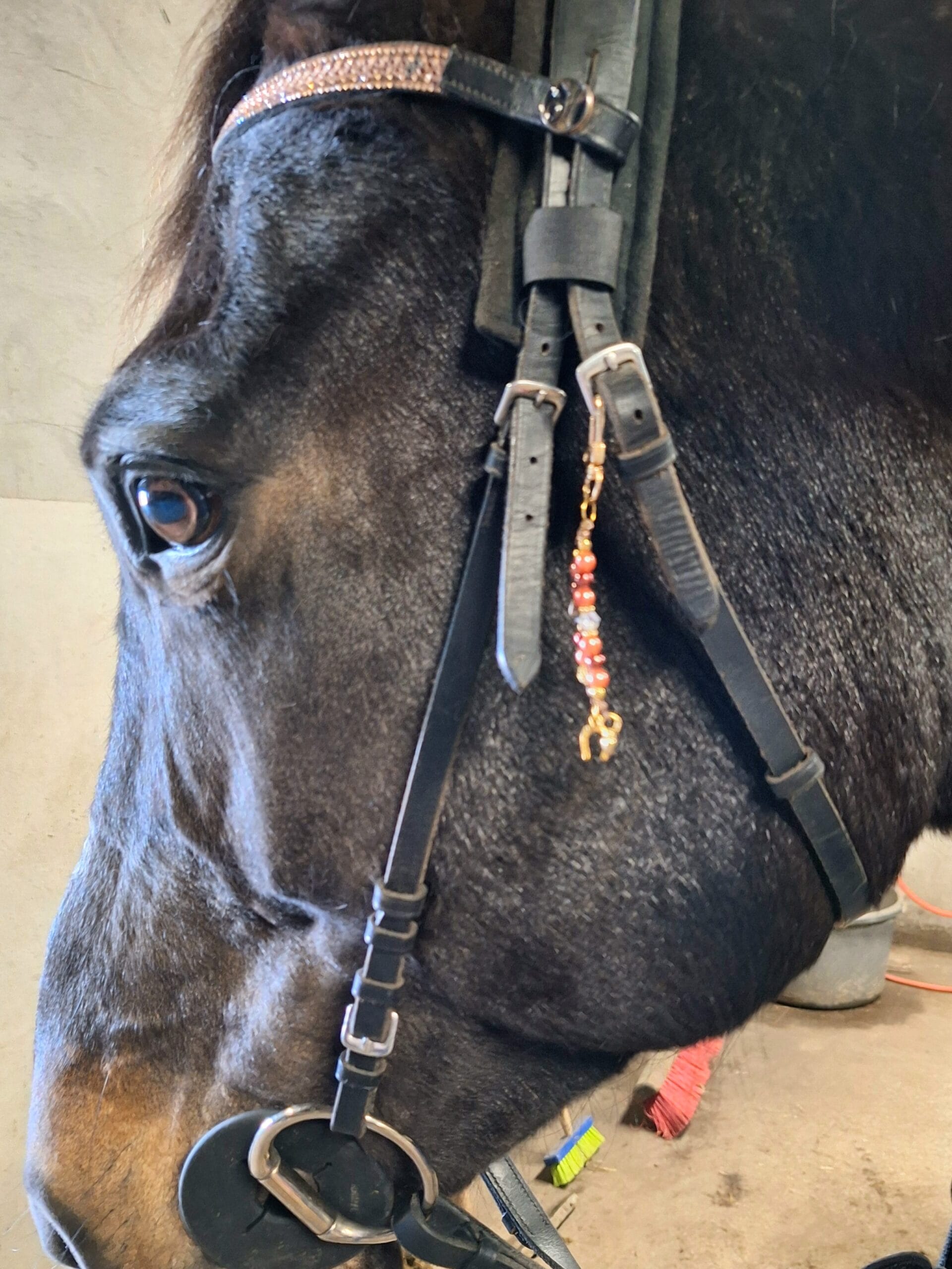 Hoofdstelsieraad geluk hoefijzer/Goudkleurig, bruin, oranjetinten