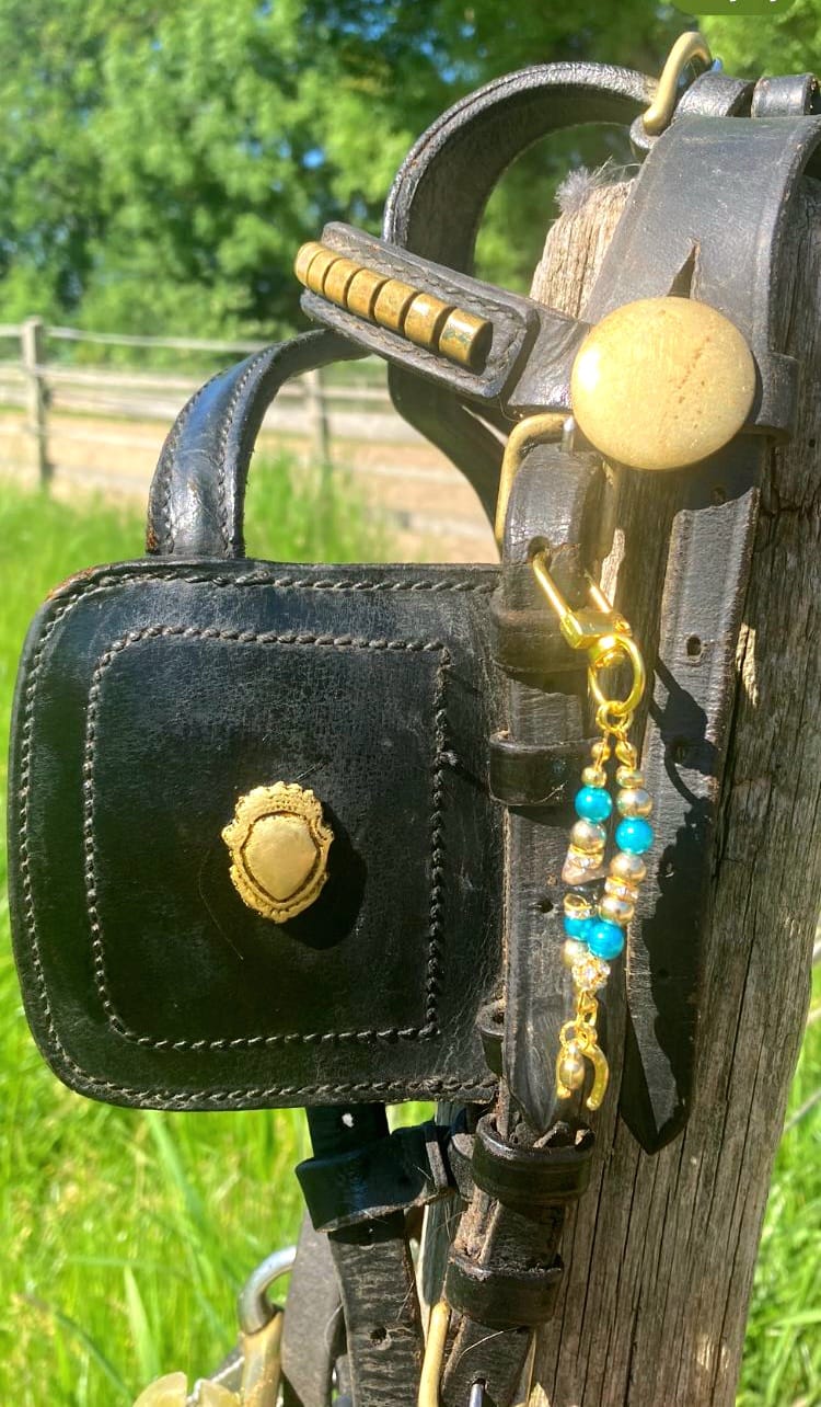 Hoofdstelsieraad geluk hoefijzer/Goudkleurig, Turquoise, goudkleurig - Afbeelding 3