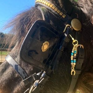 Hoofdstelsieraad geluk hoefijzer/Goudkleurig, Turquoise, goudkleurig