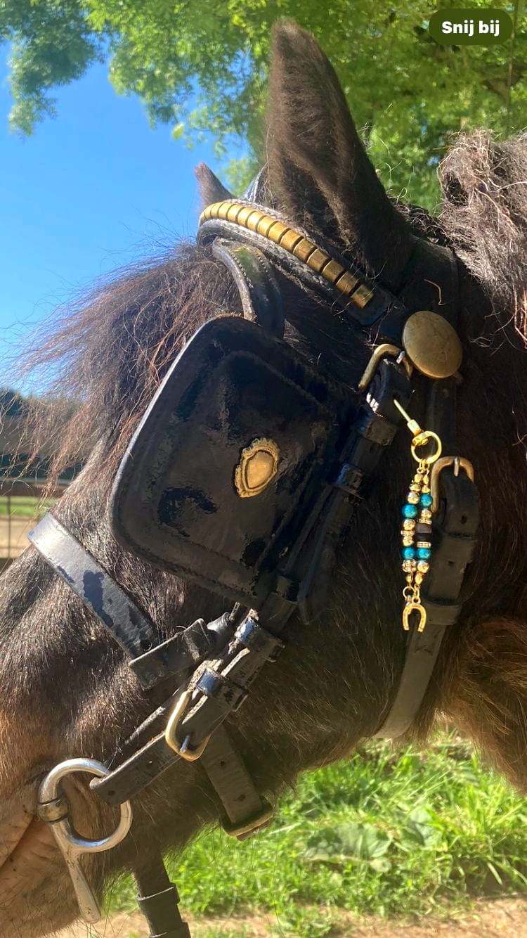 Hoofdstelsieraad geluk hoefijzer/Goudkleurig, Turquoise, goudkleurig